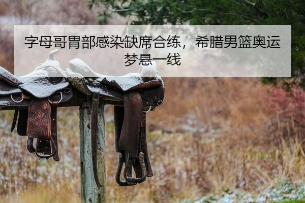 字母哥胃部感染缺席合练，希腊男篮奥运梦悬一线